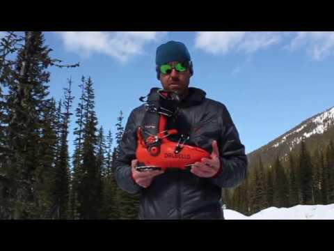 Dalbello Boots Lupo 130 C - Ski Gear 2019 