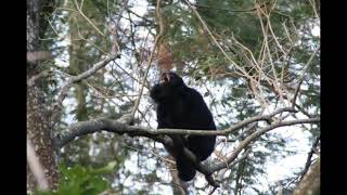 Naturaleza Viva-Guadalupe Norte-Santa Fe-Argentina