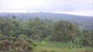 black pearl -  java - magic island rec.
