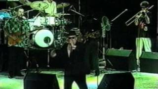 Blues Brothers Band - Messin' with the kid chords