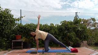 YOGA CONFIANZA by TU INSTANTE IRENE- Biodescodificación Meditación  255 views 4 years ago 57 minutes