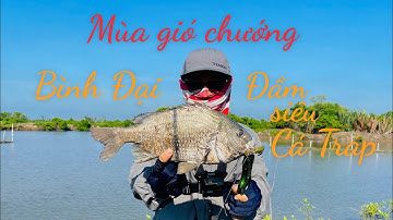 Bình Đại mùa gió chướng, Mồi Lure cá Tráp siêu hay | How To Catch Bream Fish