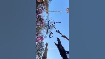 College Life Comes to an end🥺✨ #college #collegelife #gyanganga #ending #memories #jabalpur #viral