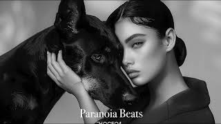 Deep House Mix 2023 Vol.2 Paranoia Beats 2024