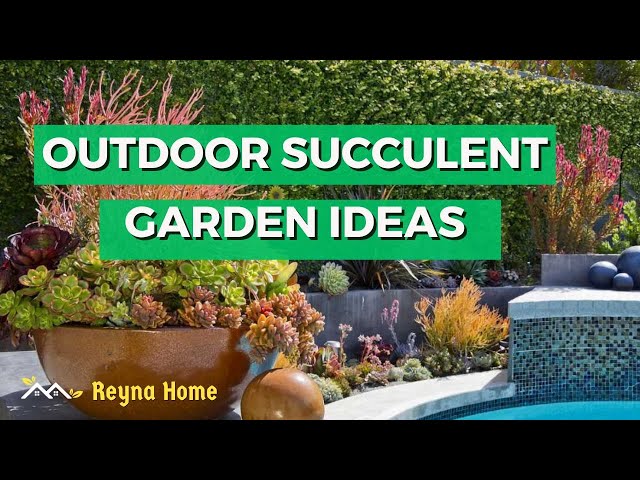 Outdoor Succulent Garden Ideas Front Yard Succulent Garden Ideas class=