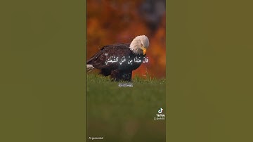 اروع تلاوه خاشعه للشيخ ياسر الدوسري #اكسبلور #متابعه #لايك #ياسر_الدوسري