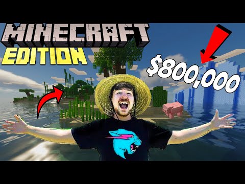 I Recreated Mr Beast's Last To Leave $800,000 Island Challenge In Minecraft