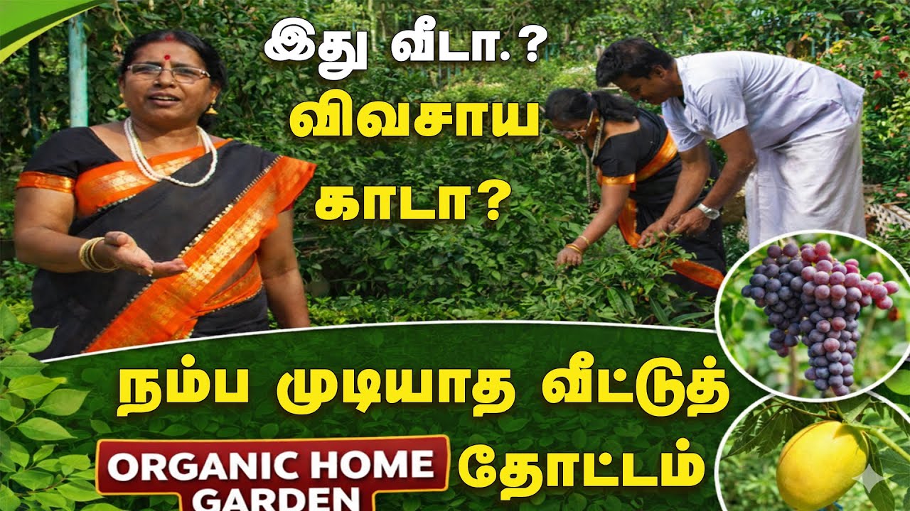 வீடா? விவசாய காடா? தஞ்சாவூரில் ஓய்வு பெற்ற ஊழியரின் அதிசய வீட்டு தோட்டம் 🌱 | Malarum Bhoomi | Garden