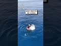 Hack to put on a wet suit on fast 😲🤿🤯                   🎥: TikTok / freediving_lebanon