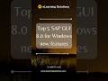 TOP 5 SAP GUI 8.0 FOR WINDOWS NEW FEATURES | SAP GUI 8.0 | eLearning Solutions .