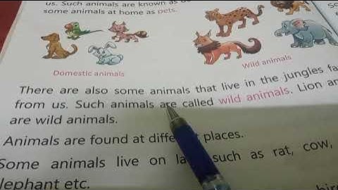 Animals around us Social Study Class 2 Chapter 2