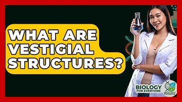 What Are Vestigial Structures? - Biology For Everyone