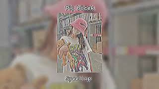 Alizade - Piç böcek (Speed up)