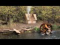 Building a bushcraft sawmill to build a log cabin for survival in the wild catch and cook