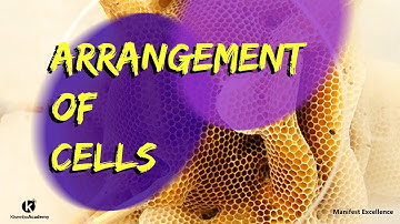 Arrangement of cells in series and parallel | emf of cells arranged in series and parallel