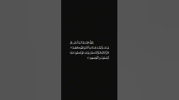 الشيخ ياسر الدوسري سورة يوسف