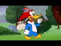 Woody searches for free food | Woody Woodpecker