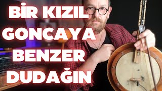 Bir Kızıl Goncaya Benzer Dudağın | Yaylı Tanbur Tambur