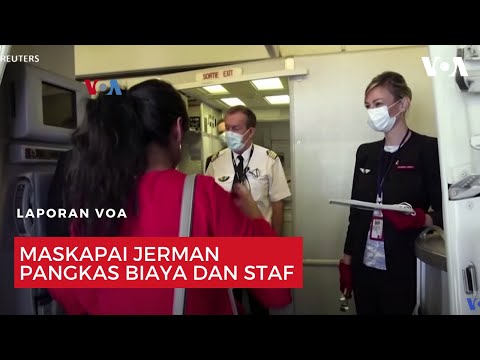 Video: Maskapai apa yang bermitra dengan Lufthansa?