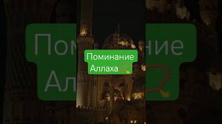 Поминание Всевышнего Аллаха- очищает сердца