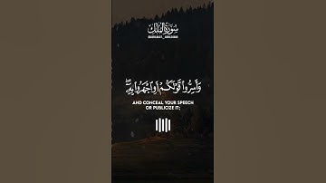 عبد الباسط عبد الصمد تلاوة خاشعة ⚘️حالات واتس اب دينية