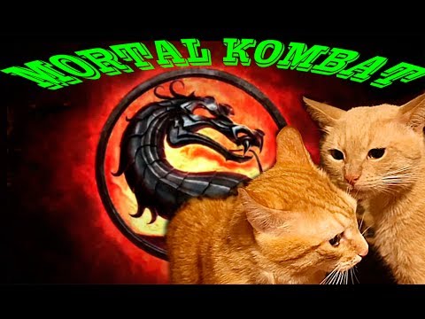 КОШАЧИЙ БОКС(БОЙ) - ДРАКА КОТОВ, КОШКИ ДЕРУТСЯ- КОШАЧЬИ ПРИКОЛЫ/ MORTAL KOMBAT - RUSSIAN CAT BOX