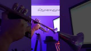 Floral Fury - Cuphead Trumpet Solo