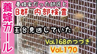 Vol.170　2020.10.18こんな時期に王台。しかもフタ開いている。Ｂ群冬越しの打ち合わせ。