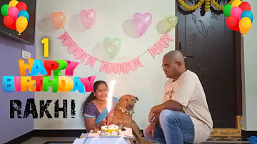 charlie rakhi birthday | dog birthday | rangapuramvlogs