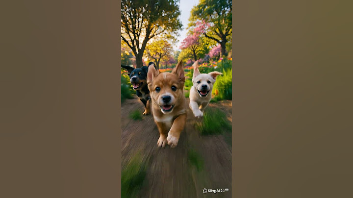 cute dog #dog #doglife #doglover #dogs #dogshorts #video #relxing #top #ai #asmr #musica #funnydogs