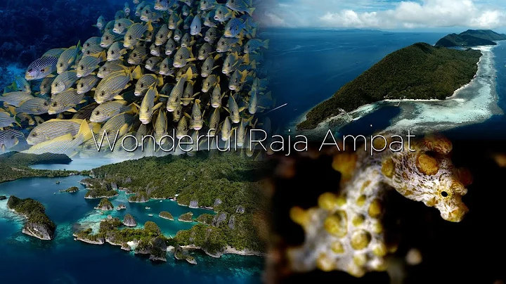 Raja Ampat - A divers Dream