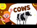 Fun Facts About Cows