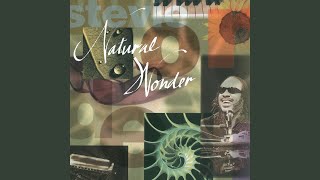 Miniatura de vídeo de "Stevie Wonder - I Wish (Live/1995)"