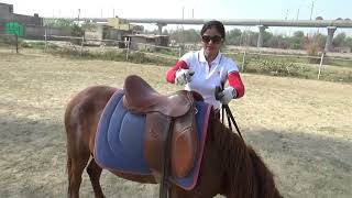 Anjalis Pony Ride -A Girl Who Love Ponies