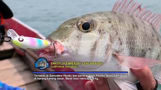 MANCING MANIA | ULTRA LIGHT DI SELAT PANGALASIANG (01/04/18) 1-3