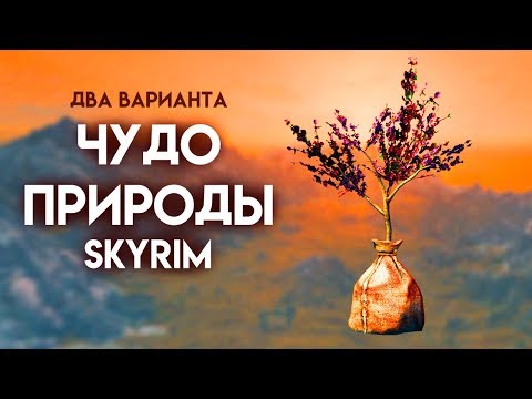 Видео: Skyrim | Два варианта прохождения Чудо природы + уникальный кинжал Крапивник! Секреты Скайрима #102