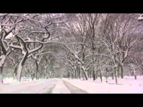 Snow In Central Park, New York