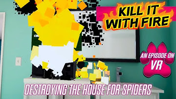 Having Slight Arachnophobia In Kill It With Fire VR!