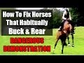 How To Fix Problem Horses That Buck & Rear - Dangerous Demonstration