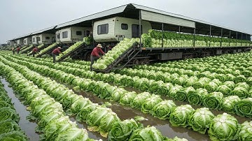 The 2025 Harvest Craze - The Modern Agriculture Machines Turning Farmer