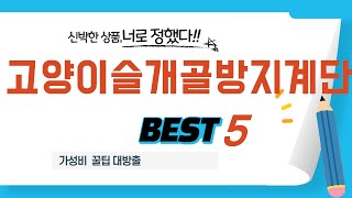 고양이슬개골방지계단 인기 추천 리뷰 TOP5