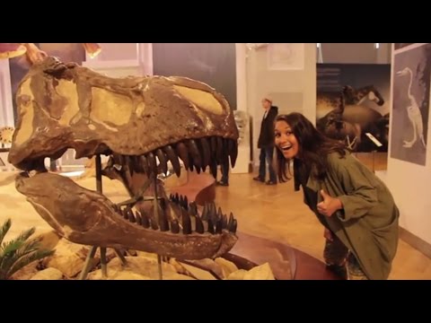 Video: Voisiko Dinosaurukset Säilyä Keskiajalla? - Vaihtoehtoinen Näkymä