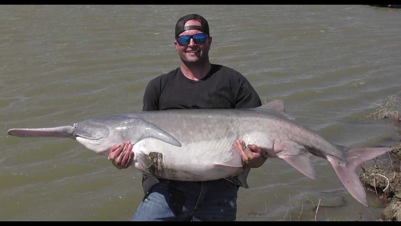 2022 Montana Paddle Fishing YouTube