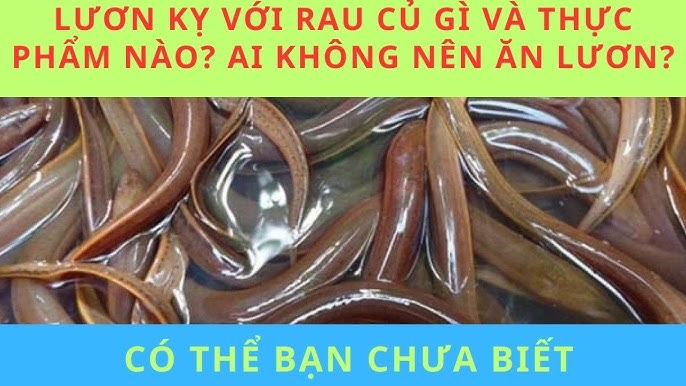 Lươn và Thịt Gà: Phân Tích Mối Quan Hệ