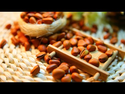 Какая ПОЛЬЗА КЕДРОВЫХ