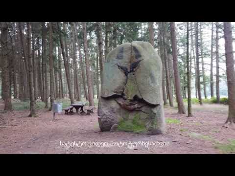 ველოტურნე გერმანიაში,