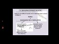 INTELLIGENCE●MEASUREMENT OF INTELLIGENCE
