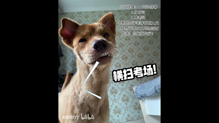 小丁身著旗袍為高考學子助力！旗開得勝！ - 天天要聞
