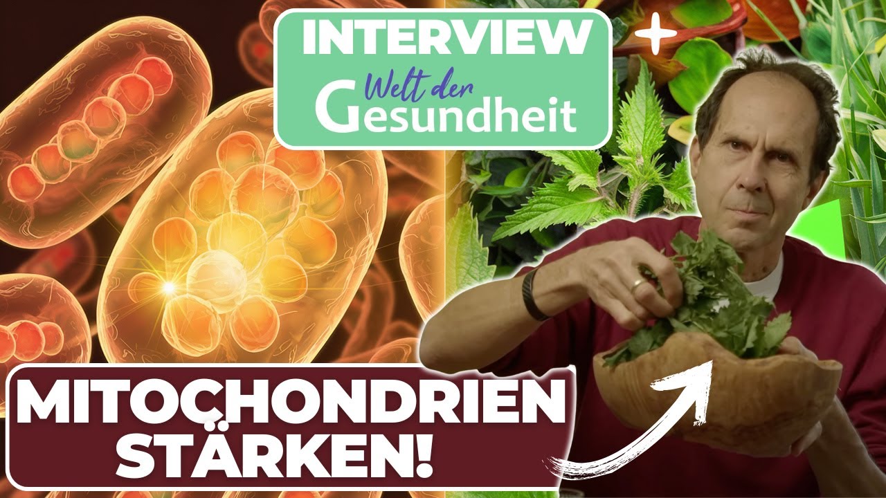 Interview Welt der Gesundheit und Dr. Switzer: Gesunde Mitochondrien, gesunder Körper?