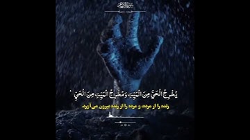 القارئ عمر الدريويز